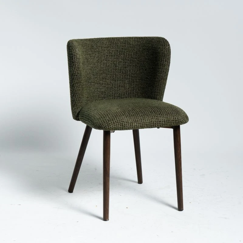 Heat Transfer Round Frame ပါသော Retro Green Dining Chair